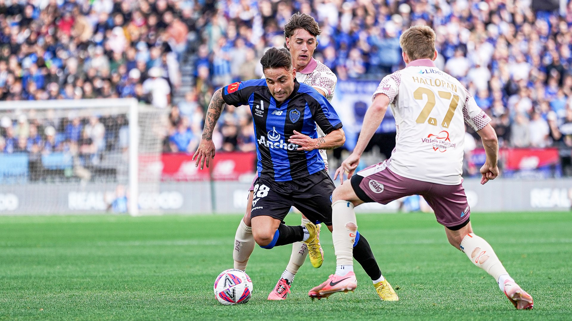 felipe gallegos auckland fc